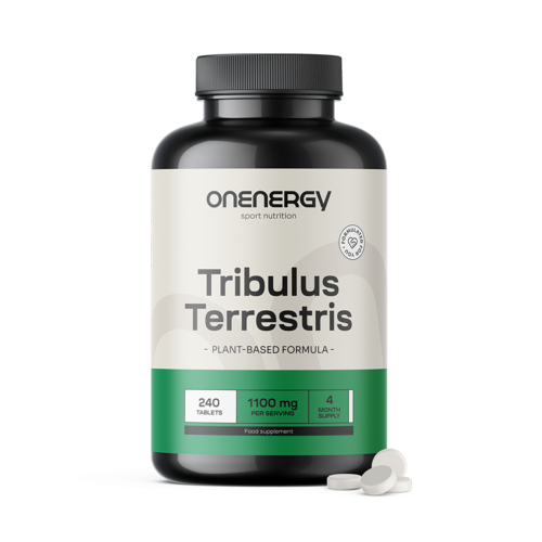 Tribulus terrestris (Tribulus) – extrait 15:1, 240 comprimés