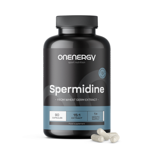Spermidine – extrait de germe de blé, 90 gélules